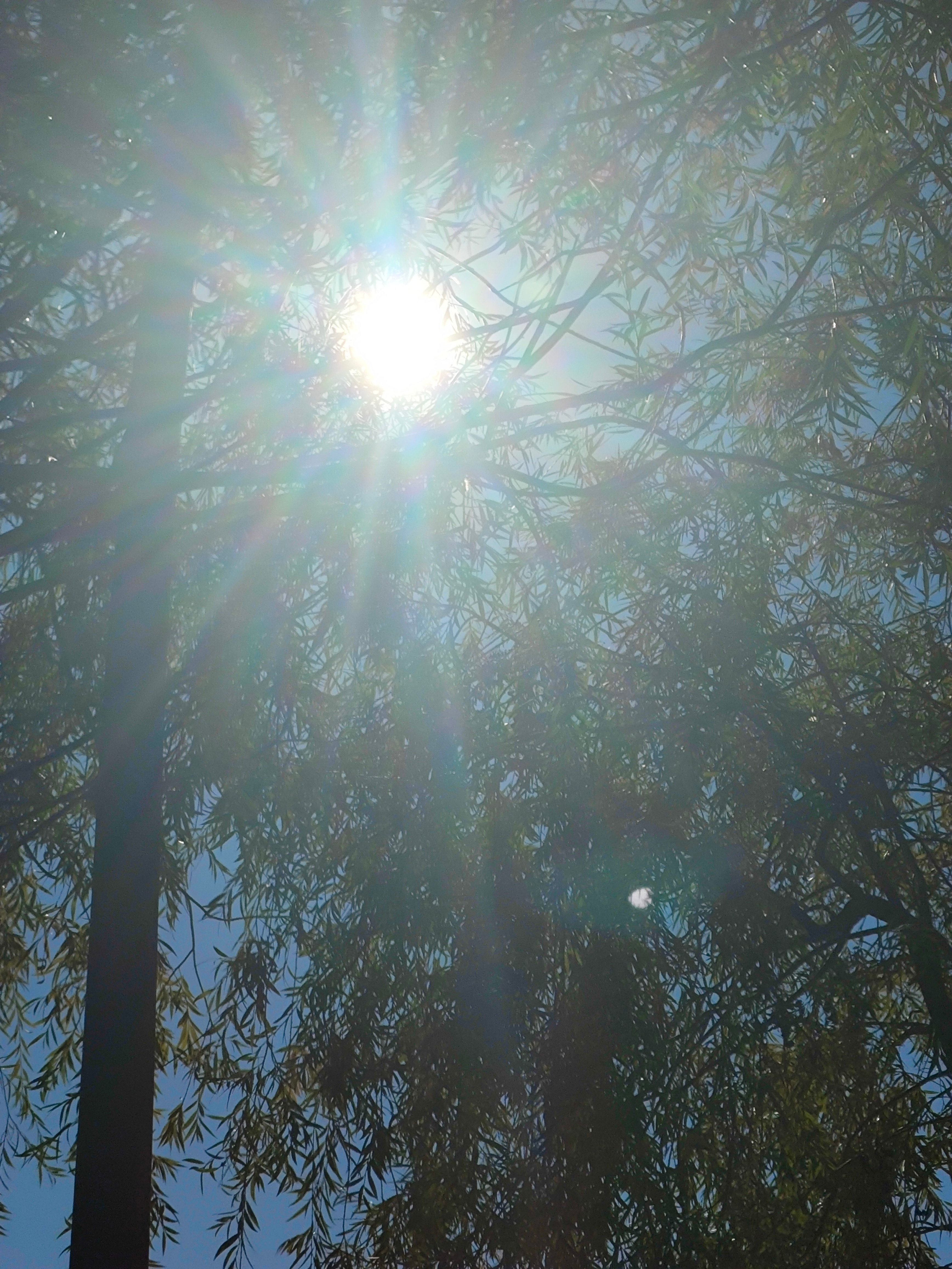 日行一善[超话] 善良，也是我们给自己最好的护身符。它让我们在复杂的世界里，保持