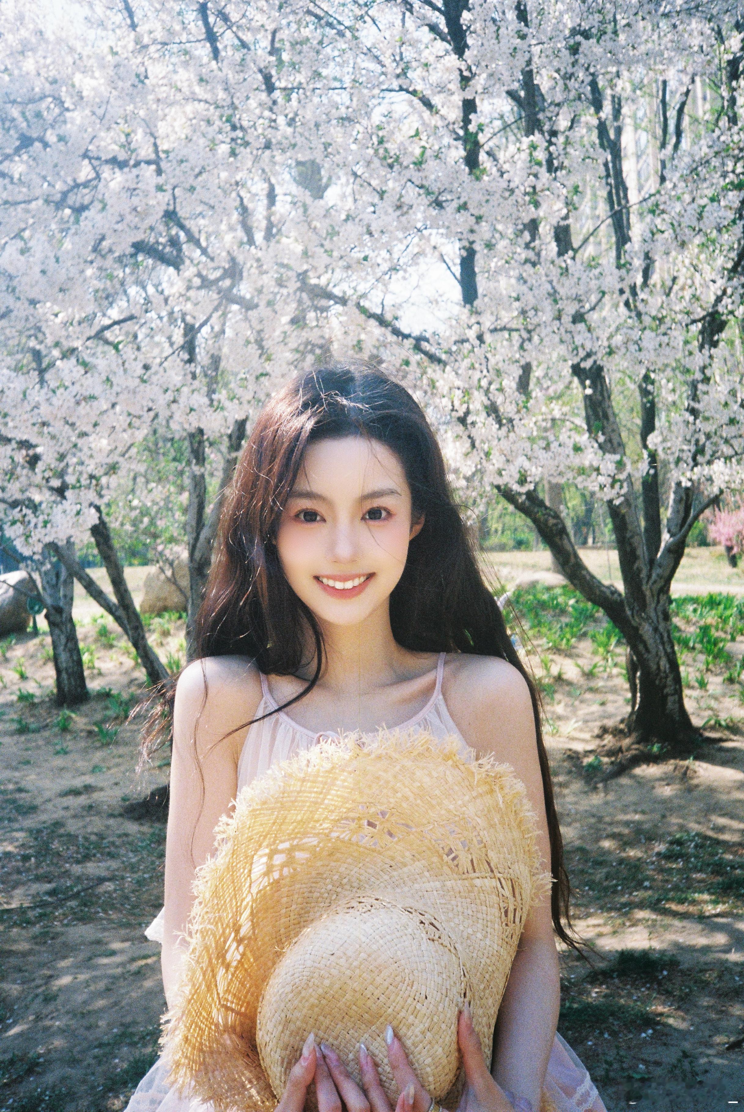 浅更一下前几天拍的樱花～～🌸（唉 我果然没有什么生活意识 只赶上了樱花的尾季…