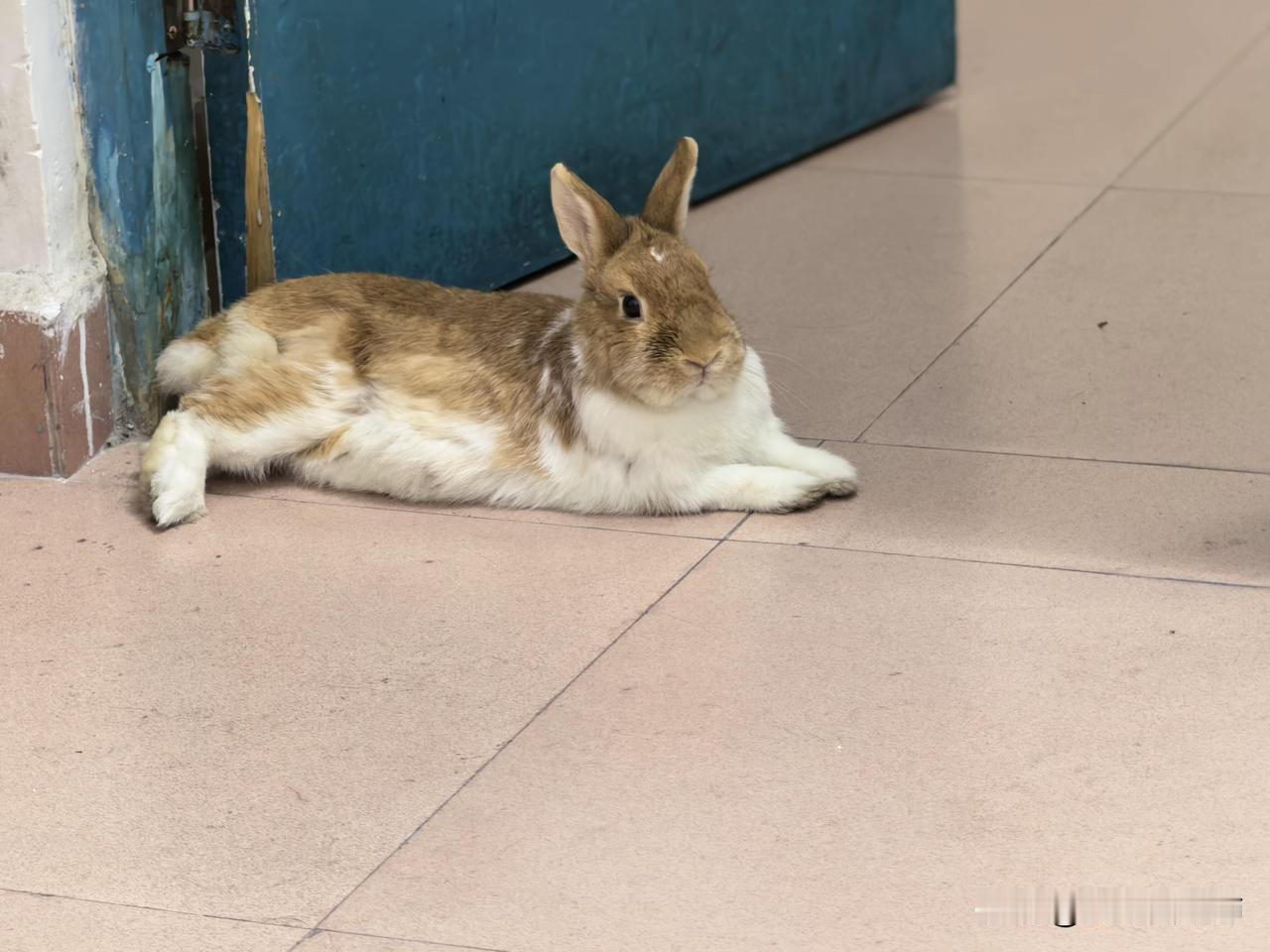 干工地的男朋友是不是不建议结婚？
男朋友是00年的，初中毕业，现在跟着他堂哥干工