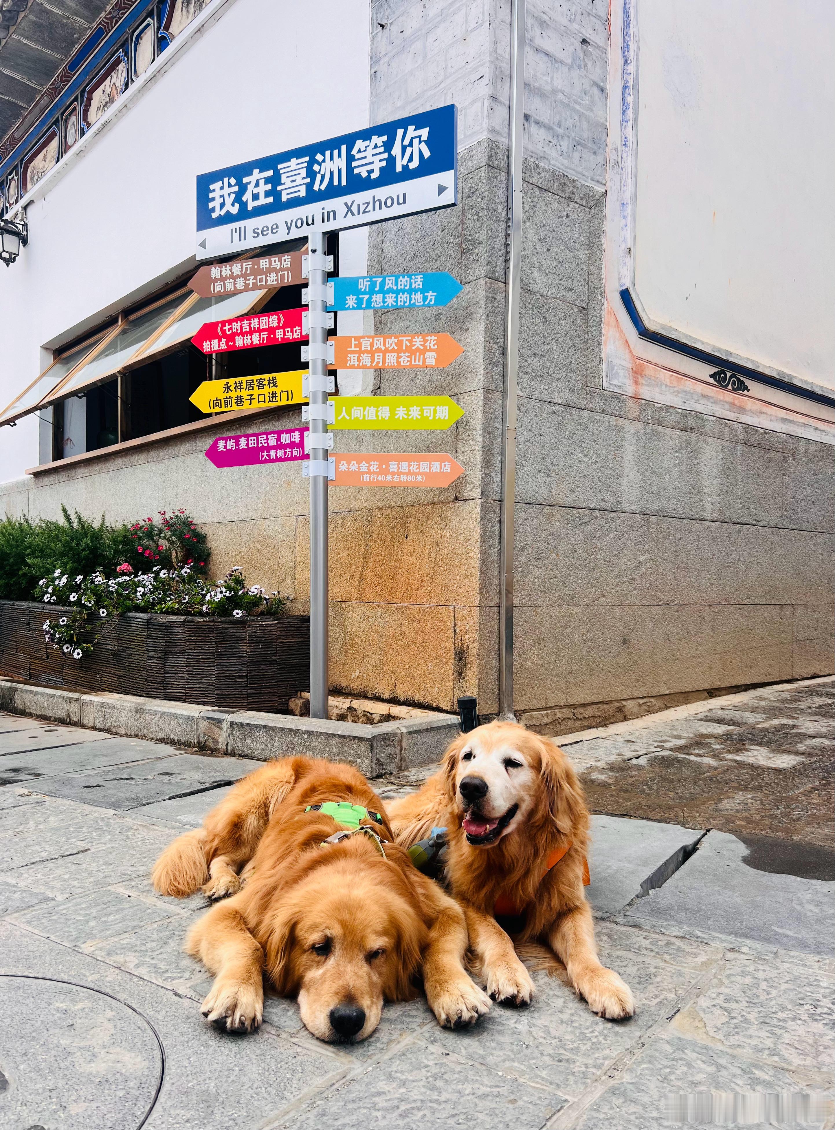 告别喜洲古镇，我们踏上回程，前往攀枝花啦[心]  ​​​