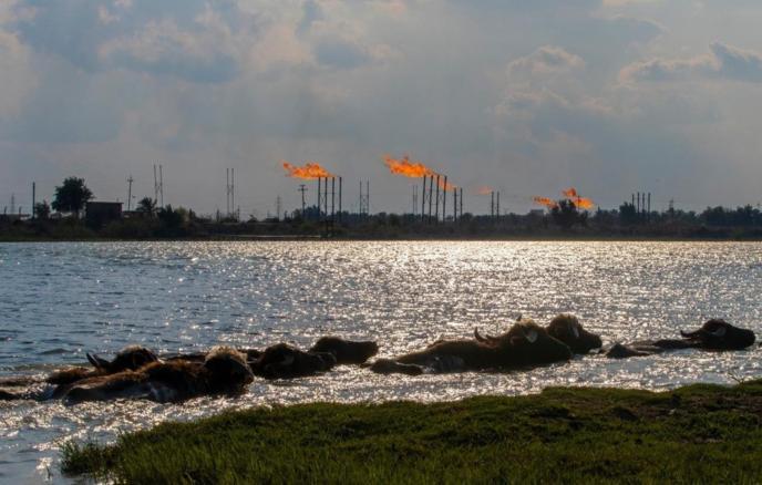 一架无人机在伊拉克马吉努油田坠落，暂无人员伤亡
 
突尼斯，3月28日 塔斯社电