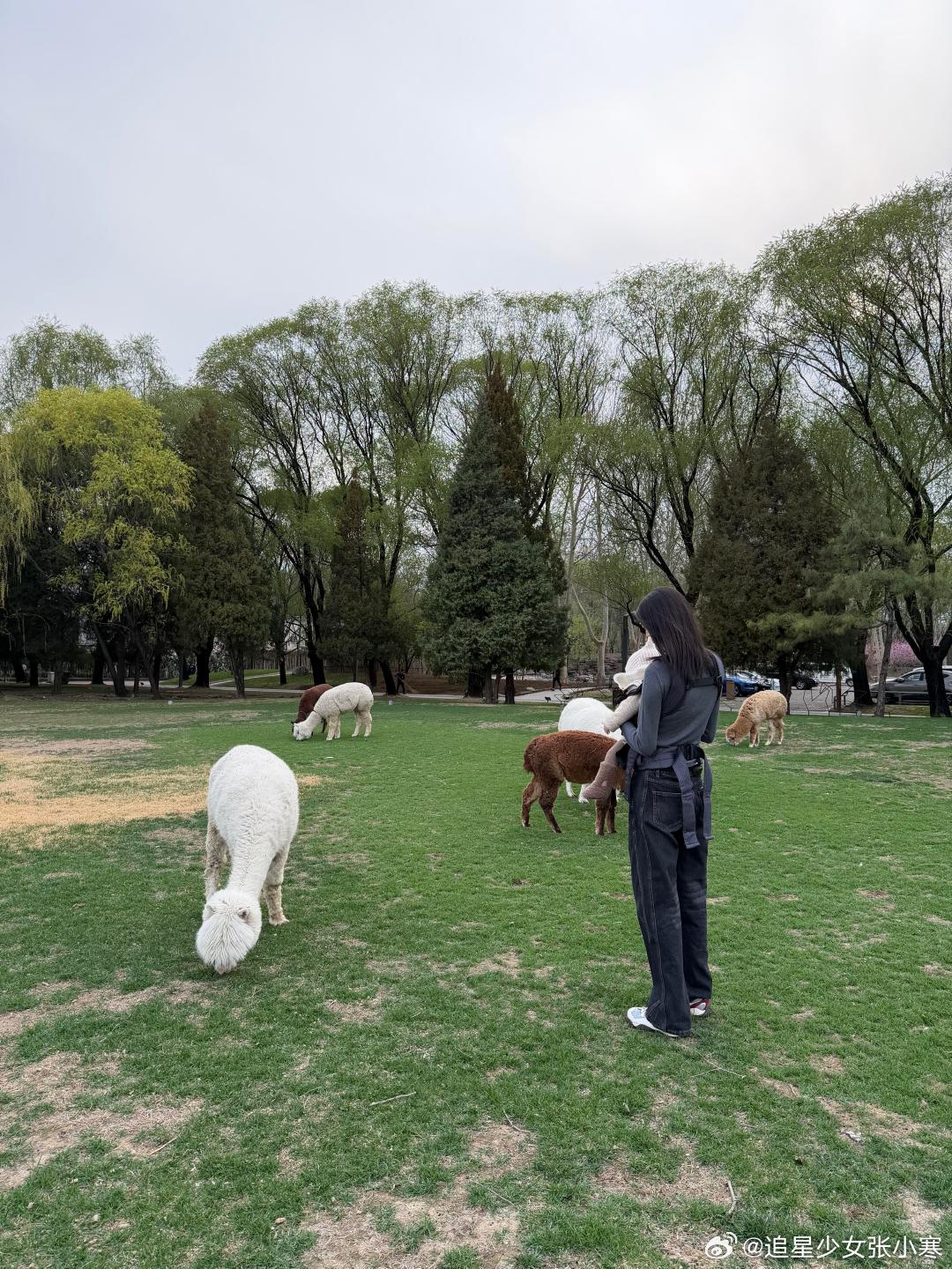 何穗抱儿子背影照何穗晒遛娃照何穗晒遛娃照，她穿着灰色卫衣和黑牛仔裤，在公园里蹲下