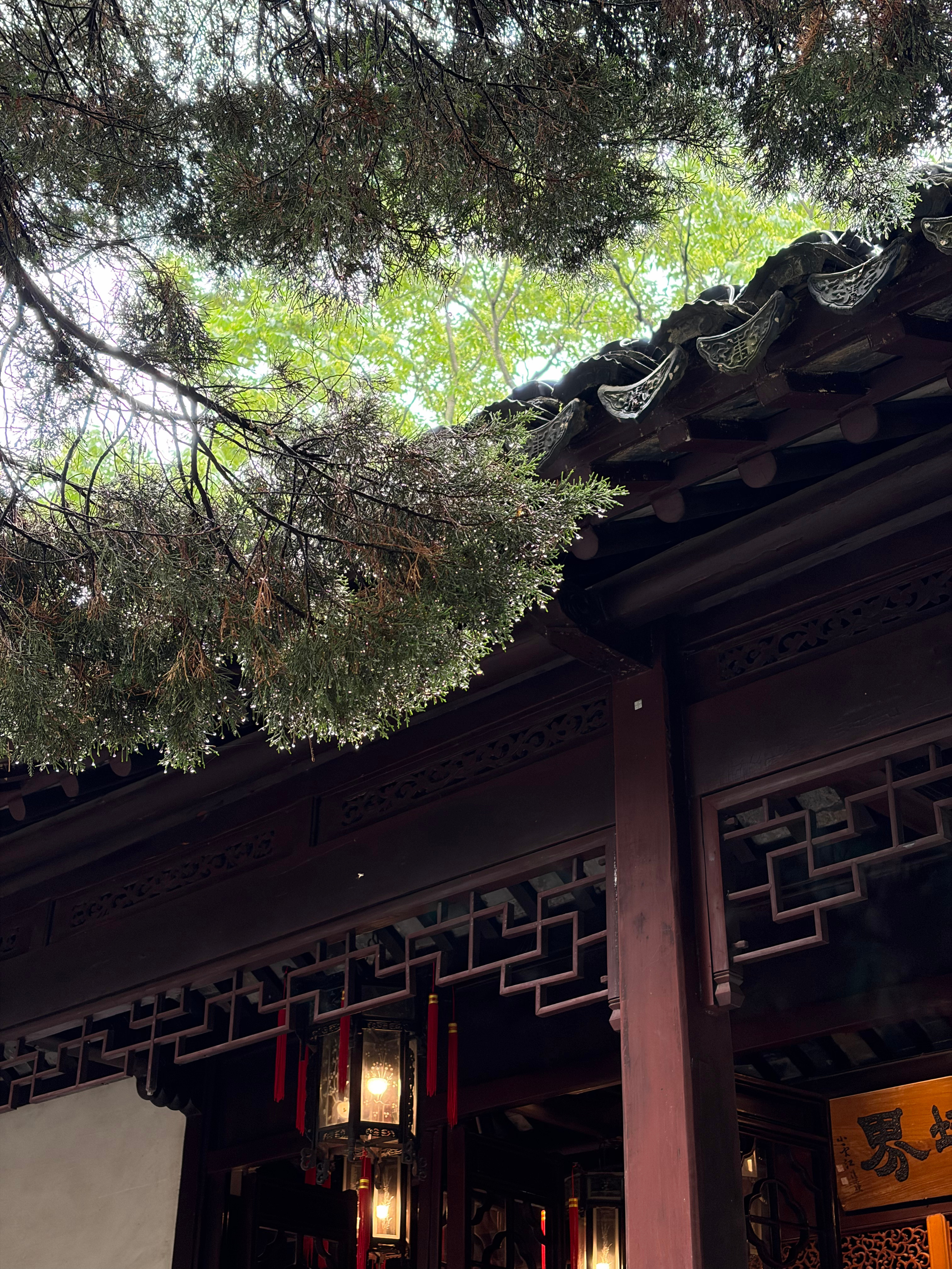 第二次来沧浪亭了 还是很喜欢 门票不贵 人不多 该有的景都有 喂鸟喂鱼好玩 