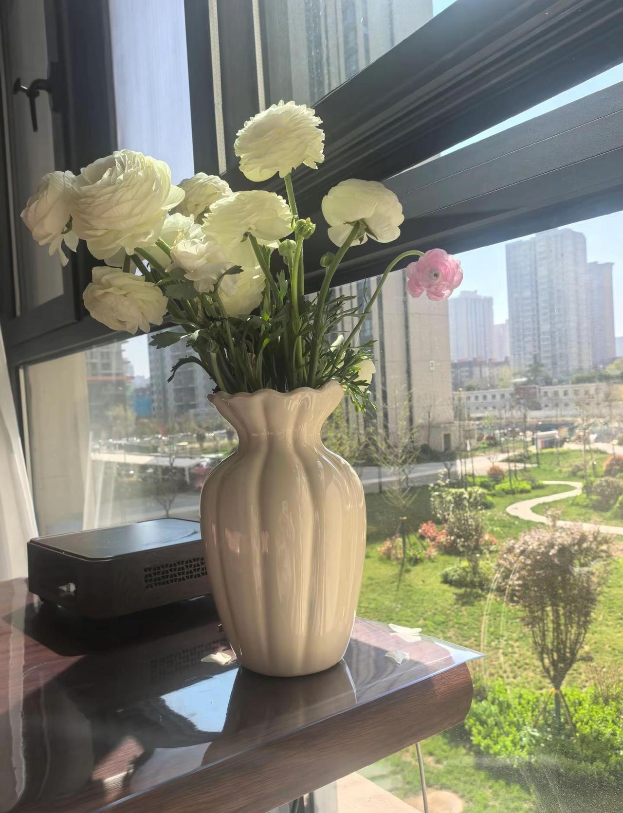 风继续吹，不知道00后认识他吗？ 分继续吹，又是一年四月一，还记得他吗