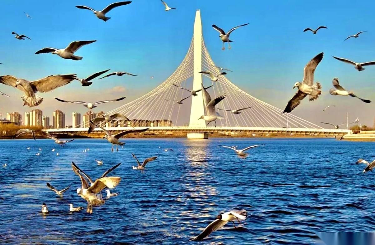 都别争了，天津宁河这四个镇，压根就没在一个牌桌上玩。
非要说谁是第一，那芦台就是