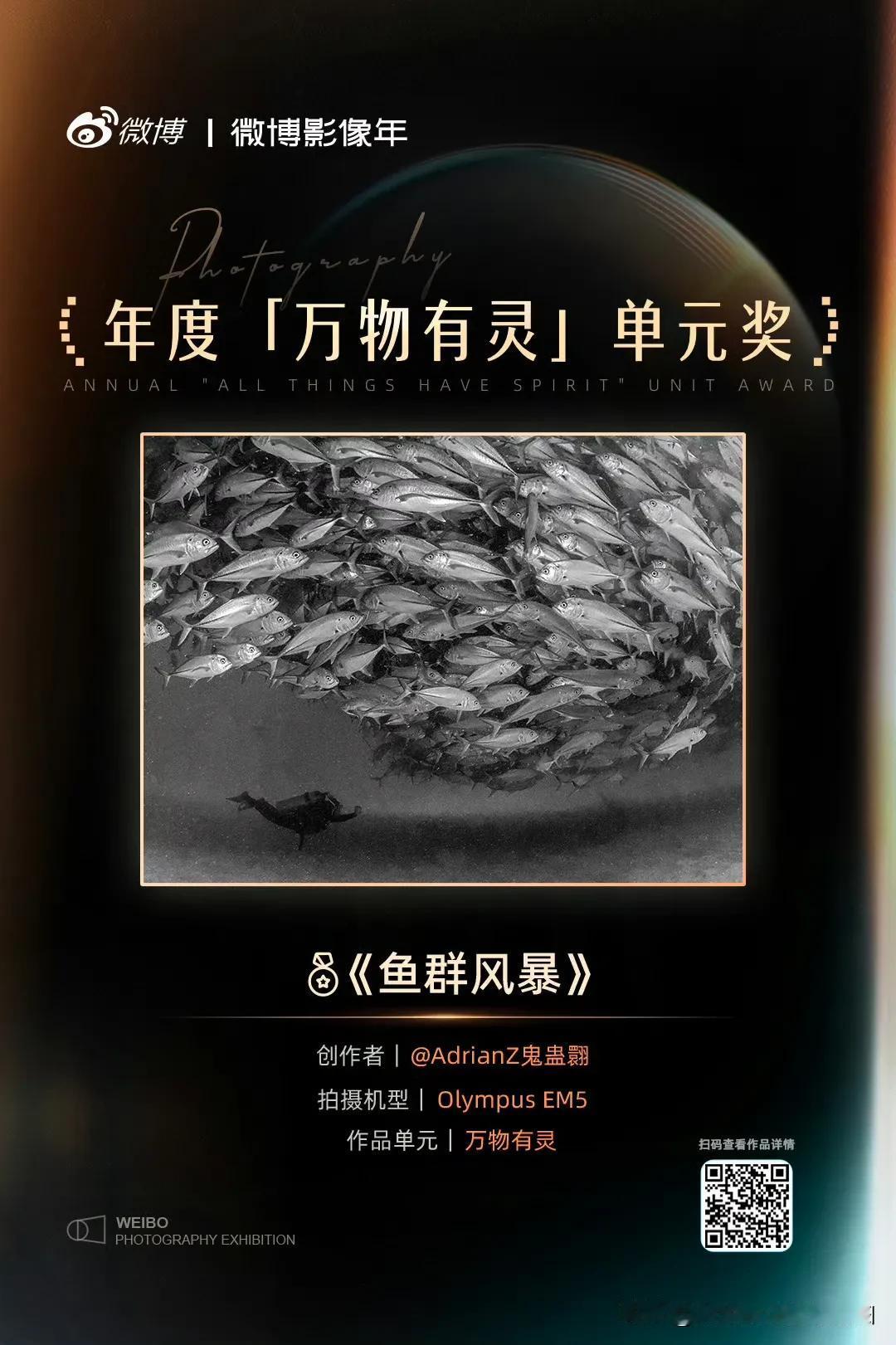 晒图笔记大赛一幅水下摄影作品获得的认可，不负远行[福]