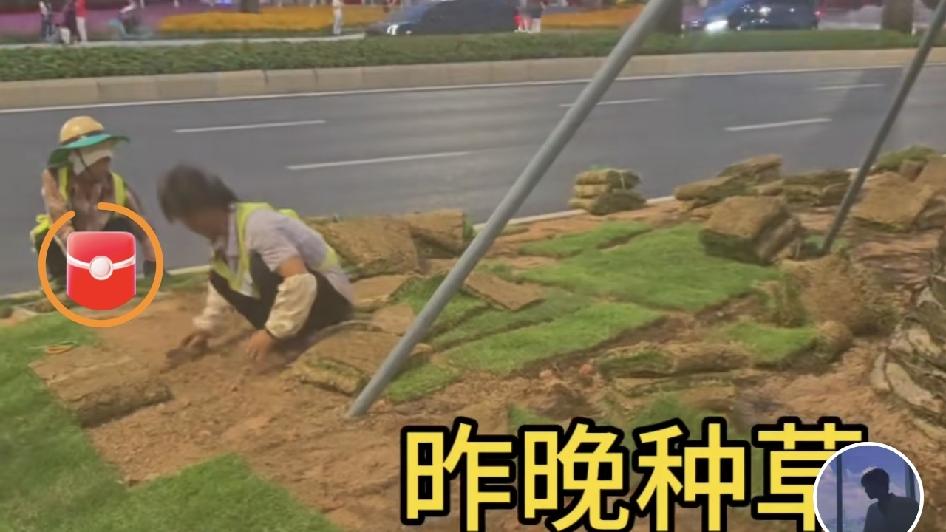 深圳的种草速度为什么这么快？
       刚看到一消息:深圳种草的（非“得”）