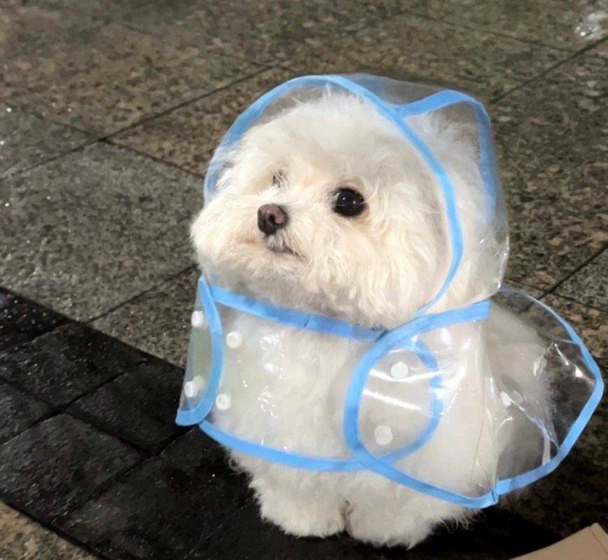 爸爸在女儿一声声喜欢你中哭惨了 想起来小时候犯错了 弄丢了钱包 （里面很多钱）我