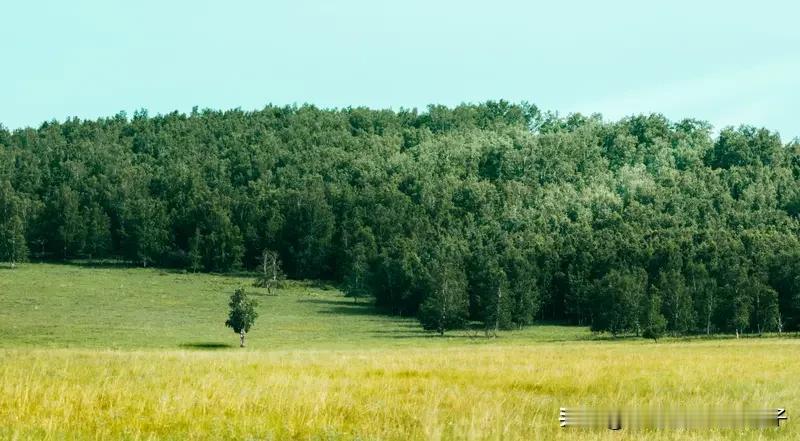 亲近大自然的方式有很多，我觉得最好的方式还得看个人喜好。
要是喜欢动起来，徒步、
