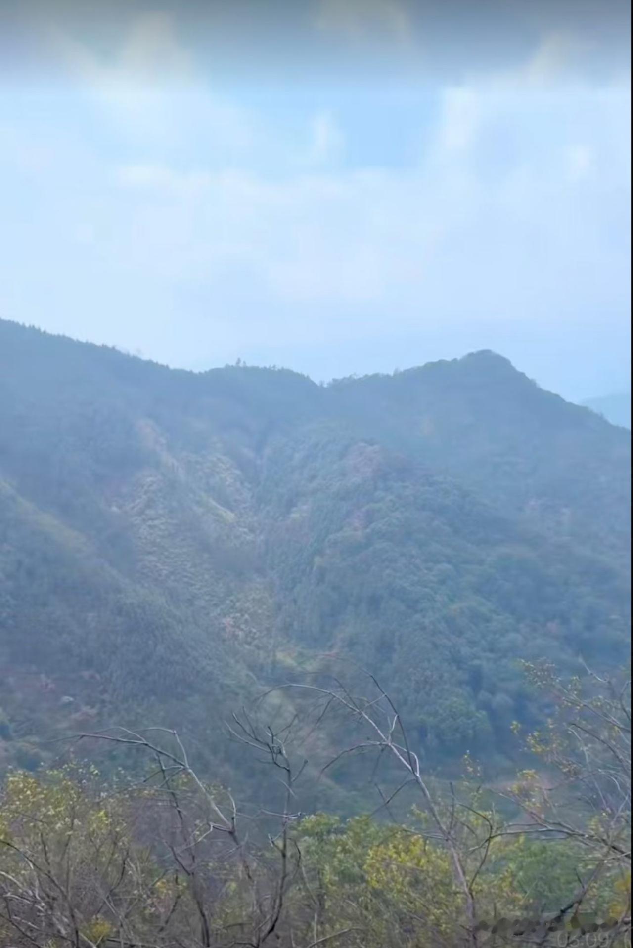 真心话茶局