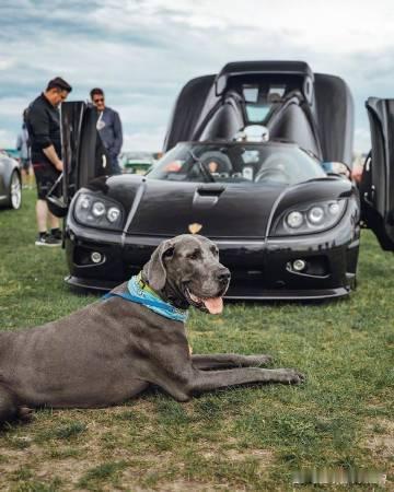 柯尼赛格Koenigsegg CCX，太漂亮了！ ​​​
