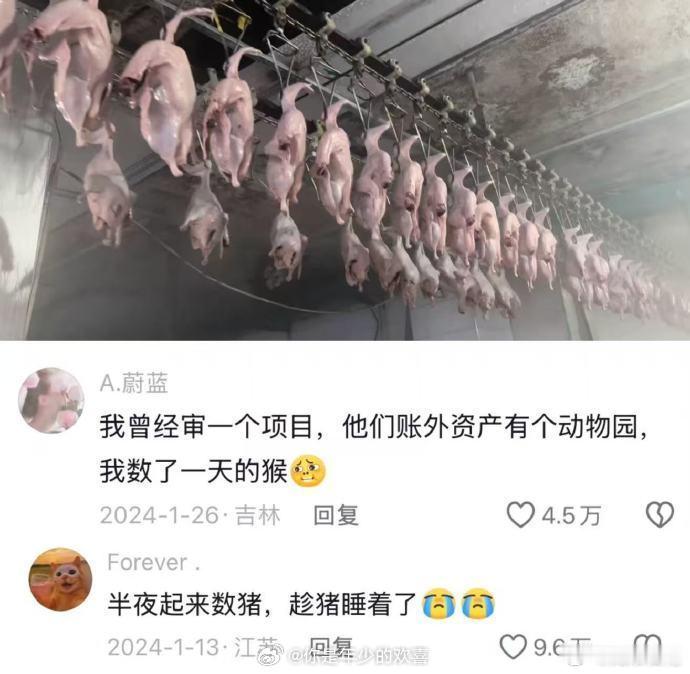 有型的项目还好，其他的项目不懂咋办