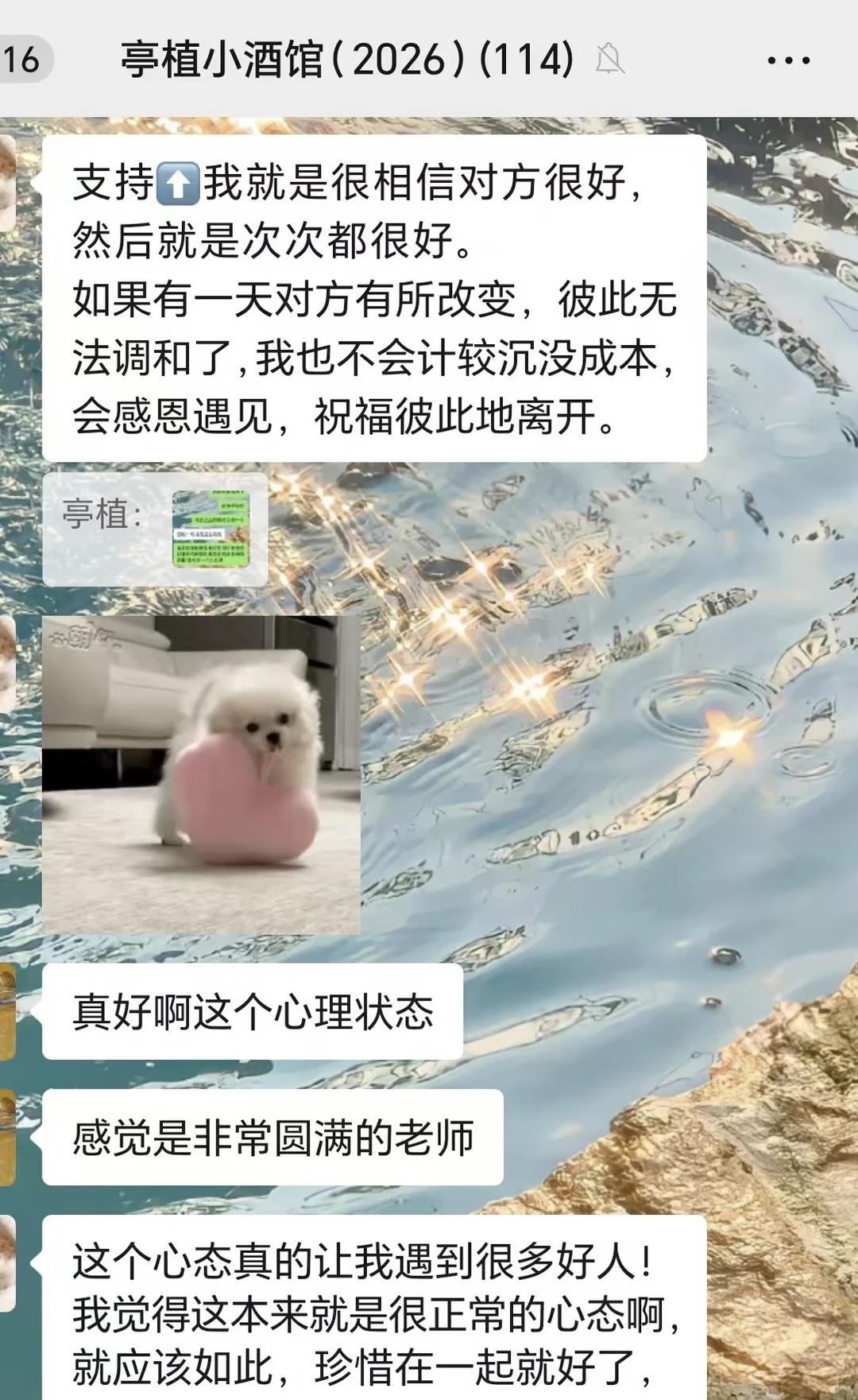 能量非常好的群聊，使人每天充满正念
