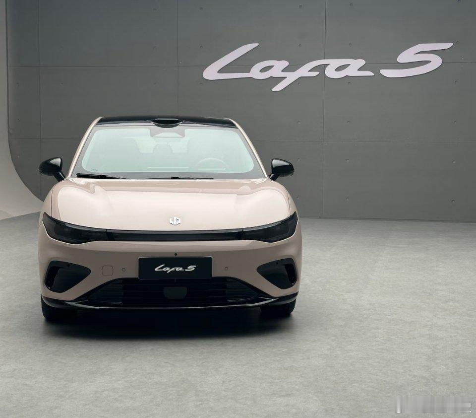 零跑Lafa5跟之前的设计完全不一样，看着特有情绪感！侧45度瞅着贼有战斗范儿，