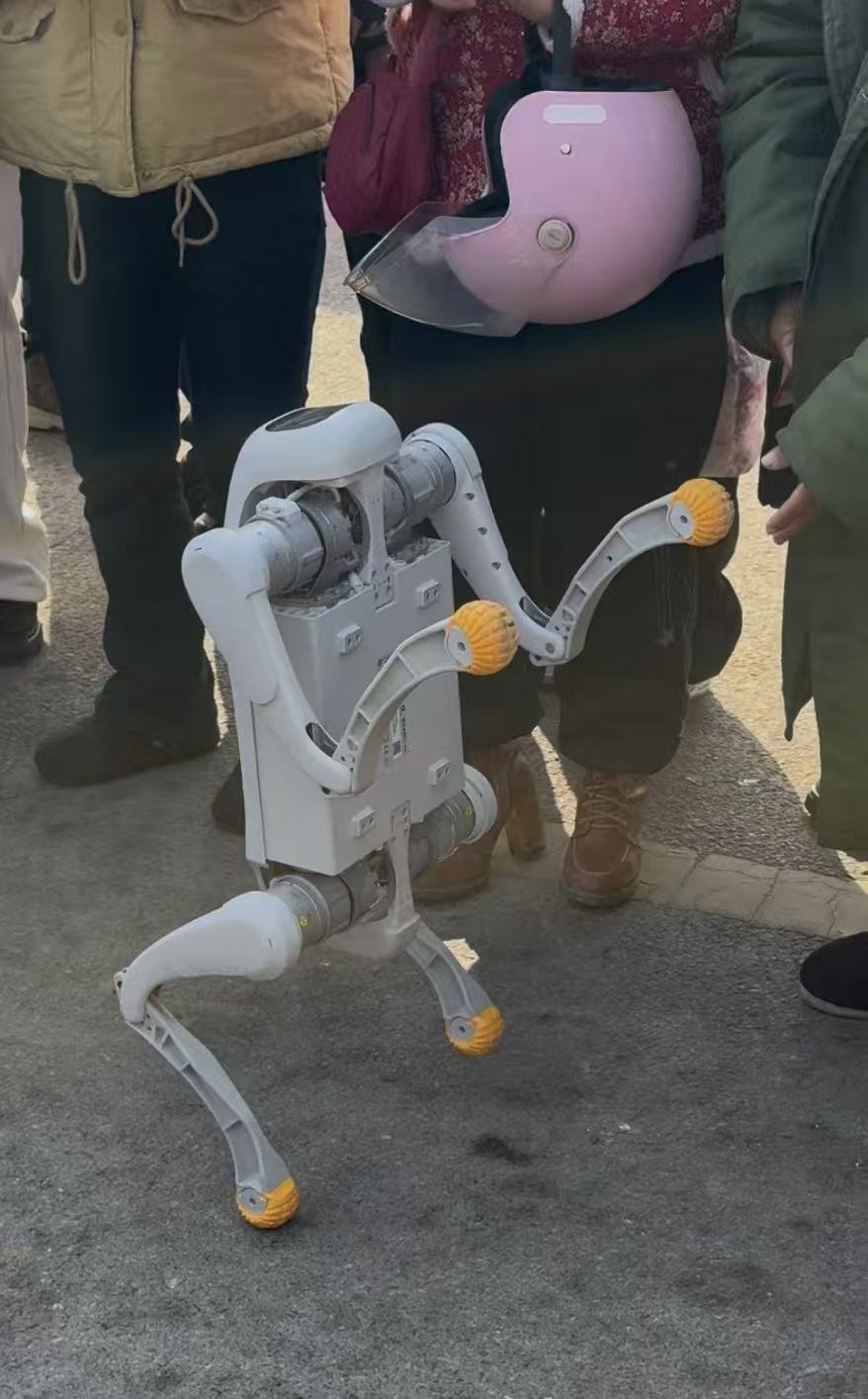 第一批回村的机器人在村里教太极江苏宿迁光明村的机器人成了回村顶流，站C位教大爷大