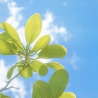 生活手记❥❥❥ ᴳᴼᴼᴰ ᴹᴼᴿᴺᴵᴺᴳ ❥❥❥🍃忙而有度，闲而有趣。做快乐的