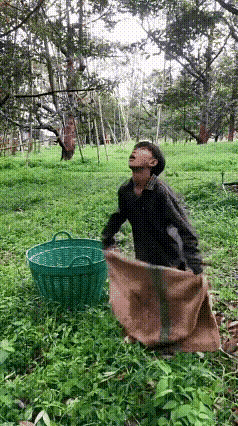 这要扔偏了咋整，感觉还是很危险的[快哭了]