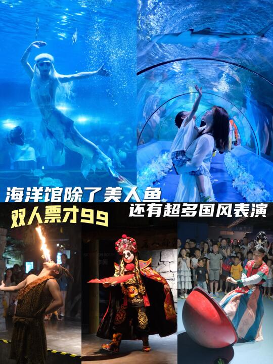 海洋馆遛娃才凉快❗️除了美人鱼还有超多表演
