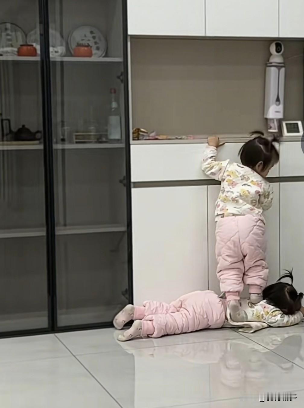 两小姐妹好可爱，也好聪明。
网友：哈哈！这是“团伙”作案！