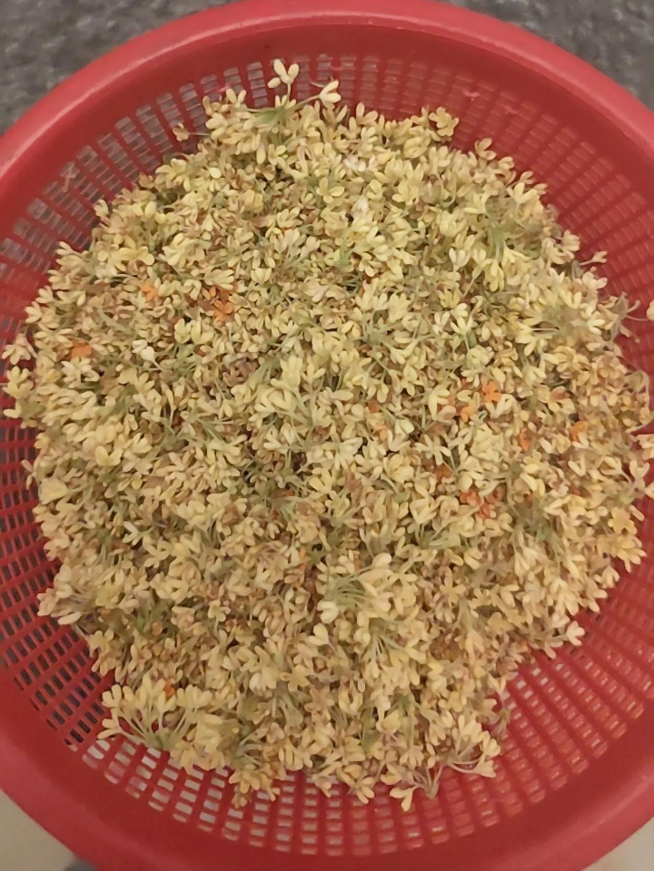  家人不在身边，孤独的日子，我选择悄悄成长。

孩子上学远行，老公在外地上班。