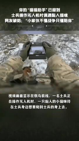 士兵在战场上操作无人机时，一只黏人的三花猫 在下面望着他喵喵叫，不一会儿它站起来