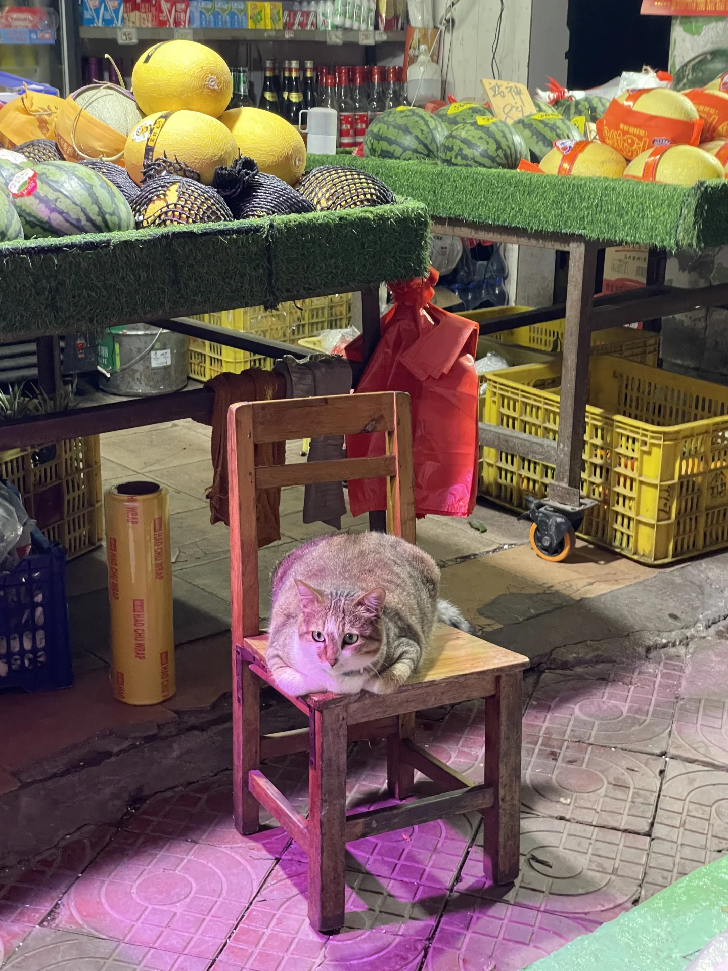 水果店有一只胖胖的猫保安在看店