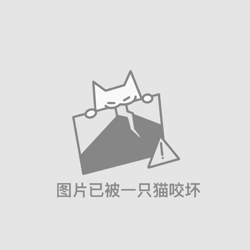 朋友圈凑图专用一只猫 ​​​