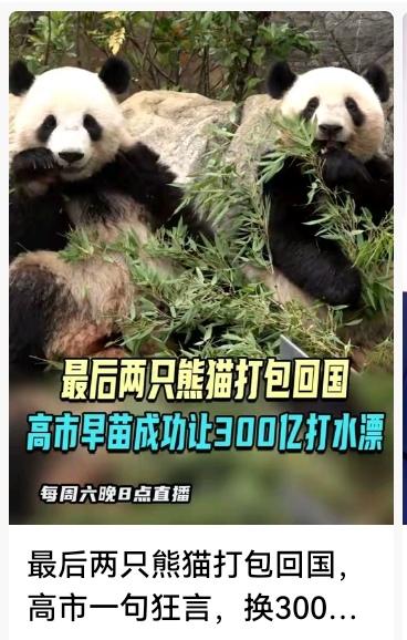 哭送熊猫！高市早苗一句狂言，日本300亿没了，民众怒了
 
“再让我摸下晓晓的爪