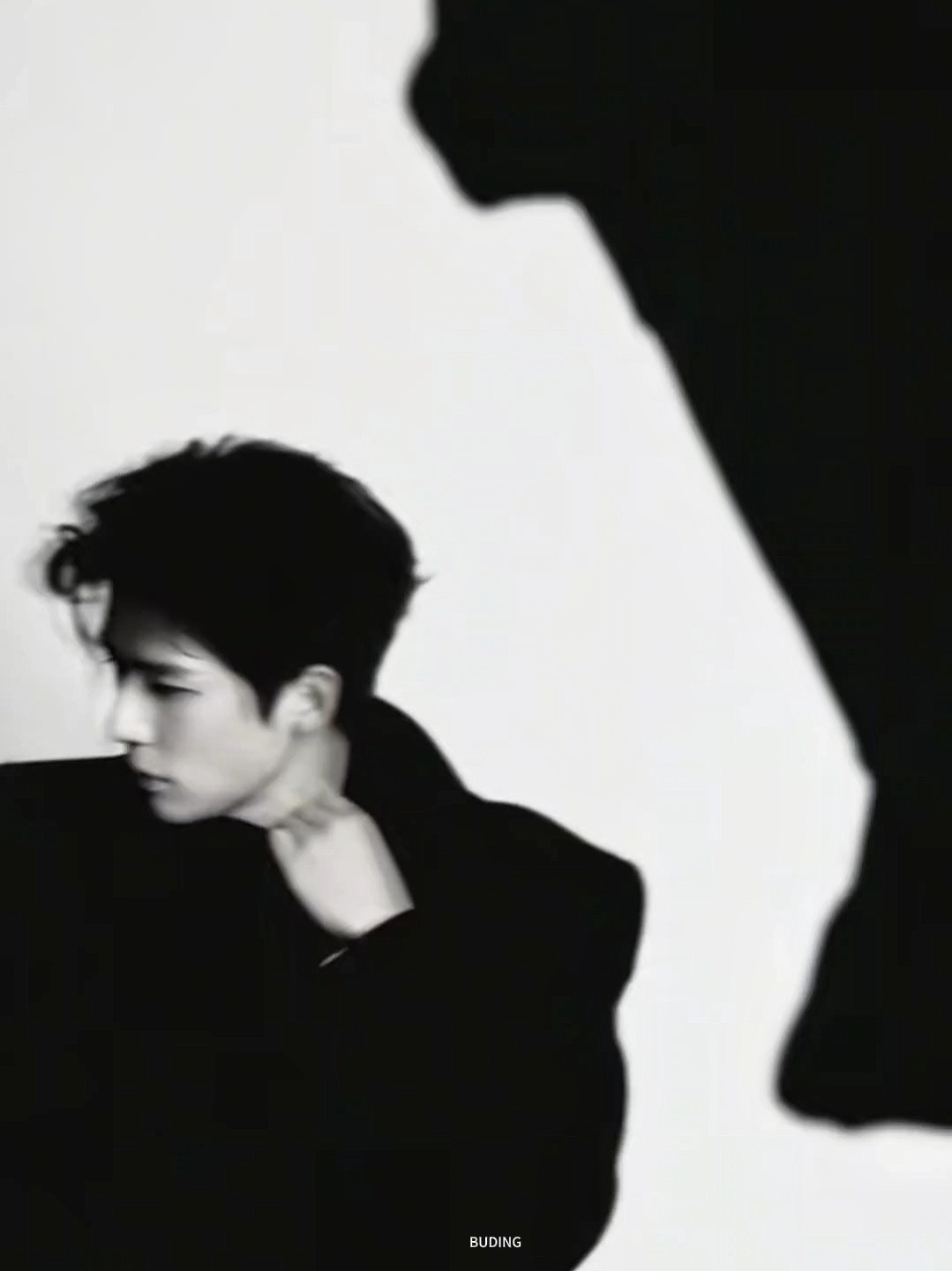 王安宇celine品牌大使  王安宇CELINE首位中国男大使 恭喜王安宇成为顶