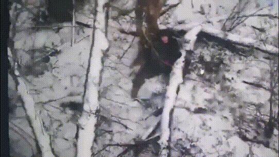 乌克兰的无人机锁定了朝军的战士，下一分钟，成群结队的乌军FPV无人机就要攻击。