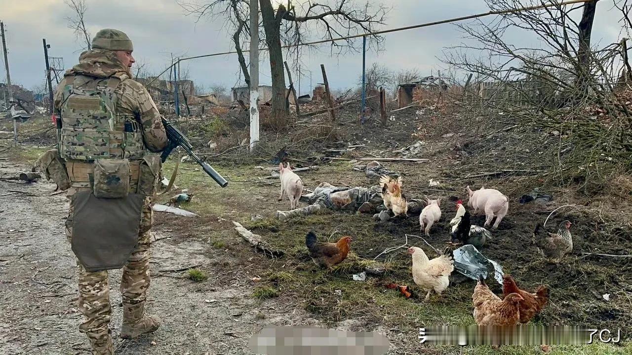 外媒：俄库尔斯克-奥尔戈夫卡地区，
乌军被俄军围歼战首批照片公布。

这是著名战