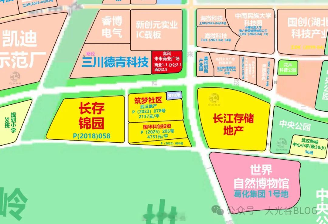 P（2026）064 号地块挂牌，光谷长岭山迎来低密宅地武汉最新土拍公告出炉，东