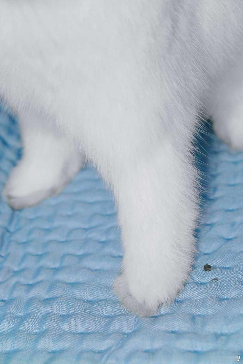 15287🐇【玉足】 ​​​