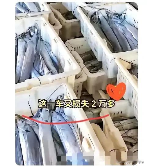今年中秋节，资本全都傻眼了。曾经热闹非凡的月饼市场，似乎突然变得冷清了许多。高价