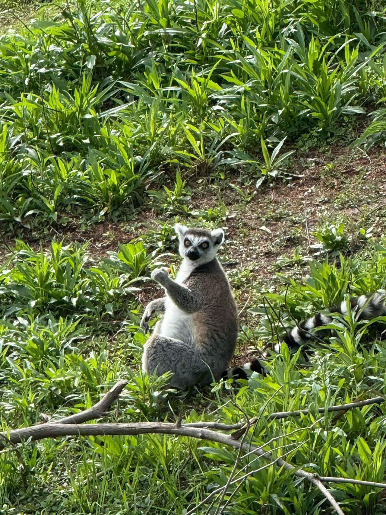 读《明朝那些事儿》的时候，有一段话我记了很久。

说共同创业的人，躲不开四个阶段