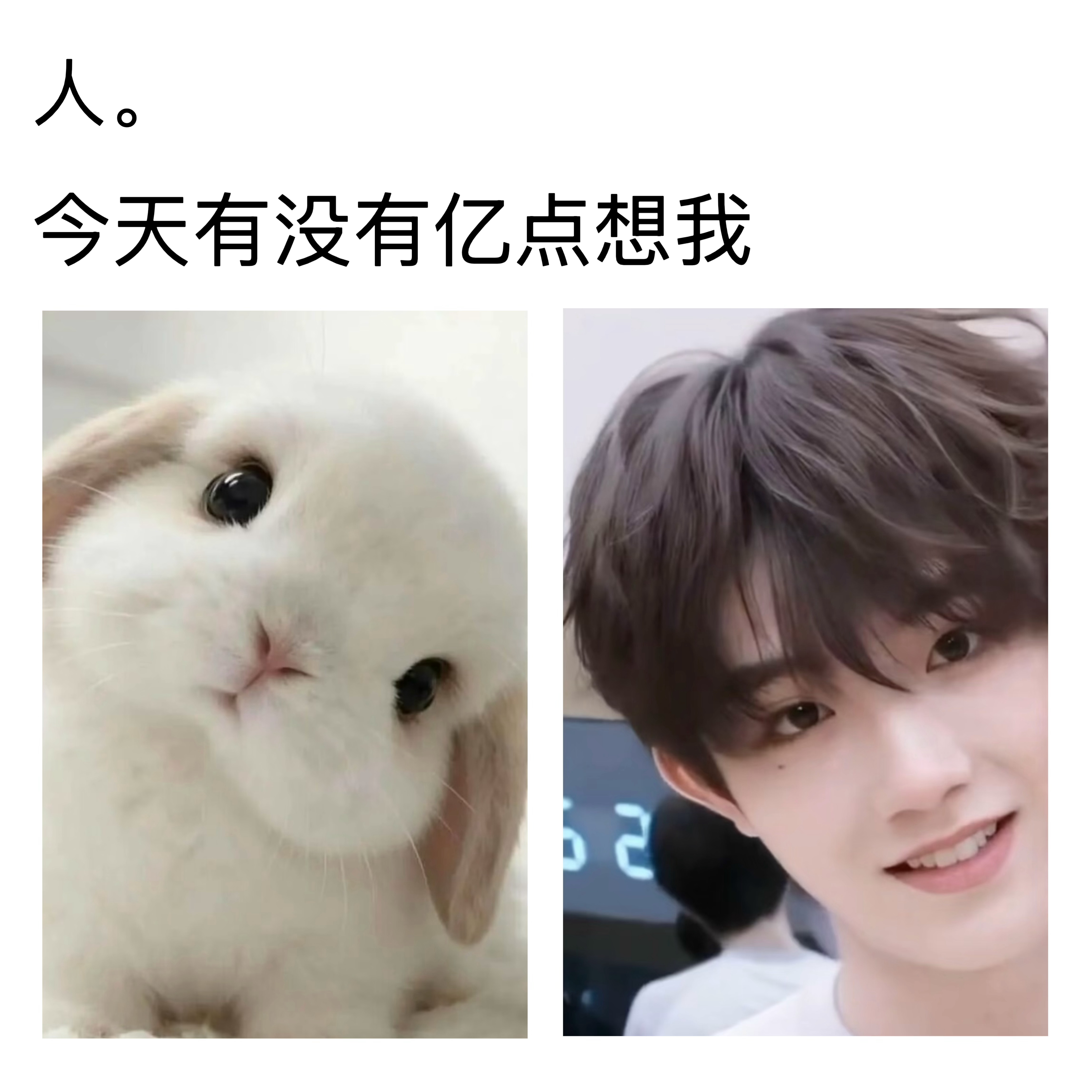 0000《兔子圣经》 1. 兔子是天 2.不可以惹兔子生气 3.每天都要赞美兔子