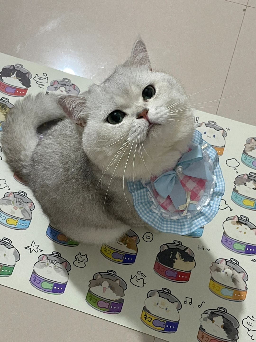 尊嘟要留我一个人在家嘛