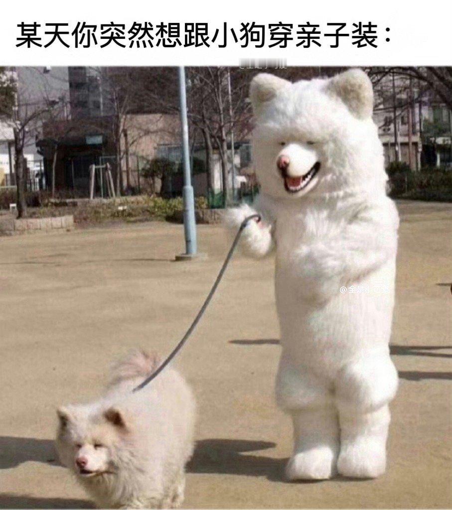 某天你突然想跟小狗穿亲子装： 