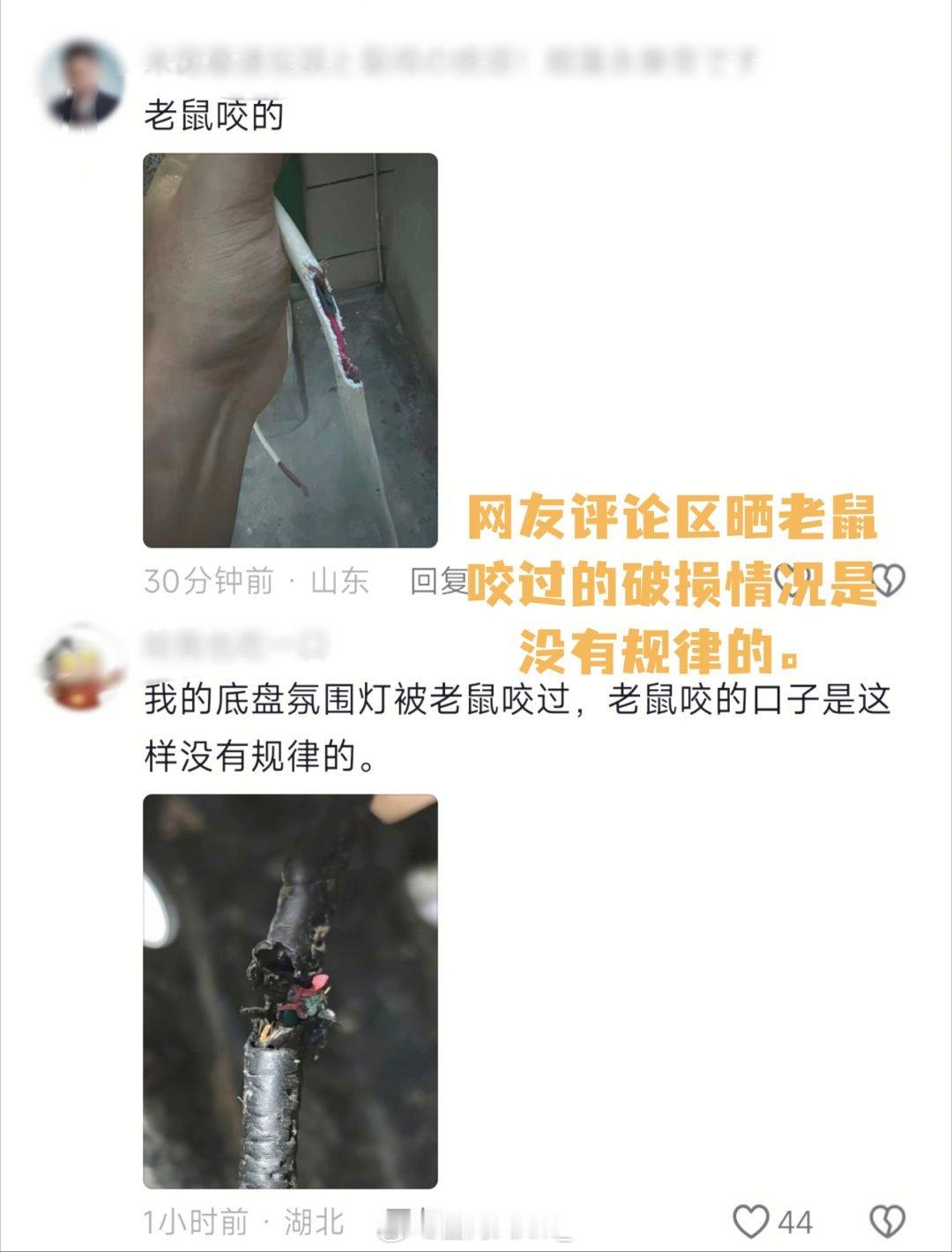 车主把小米YU7停在公园十几天，上车直接弹出制动、悬架、防撞三大故障，车直接挂不