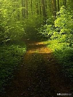 我有一个朋友，
她的婆婆今年87岁，
是省 医 院退休多年的主 治 医 生。
