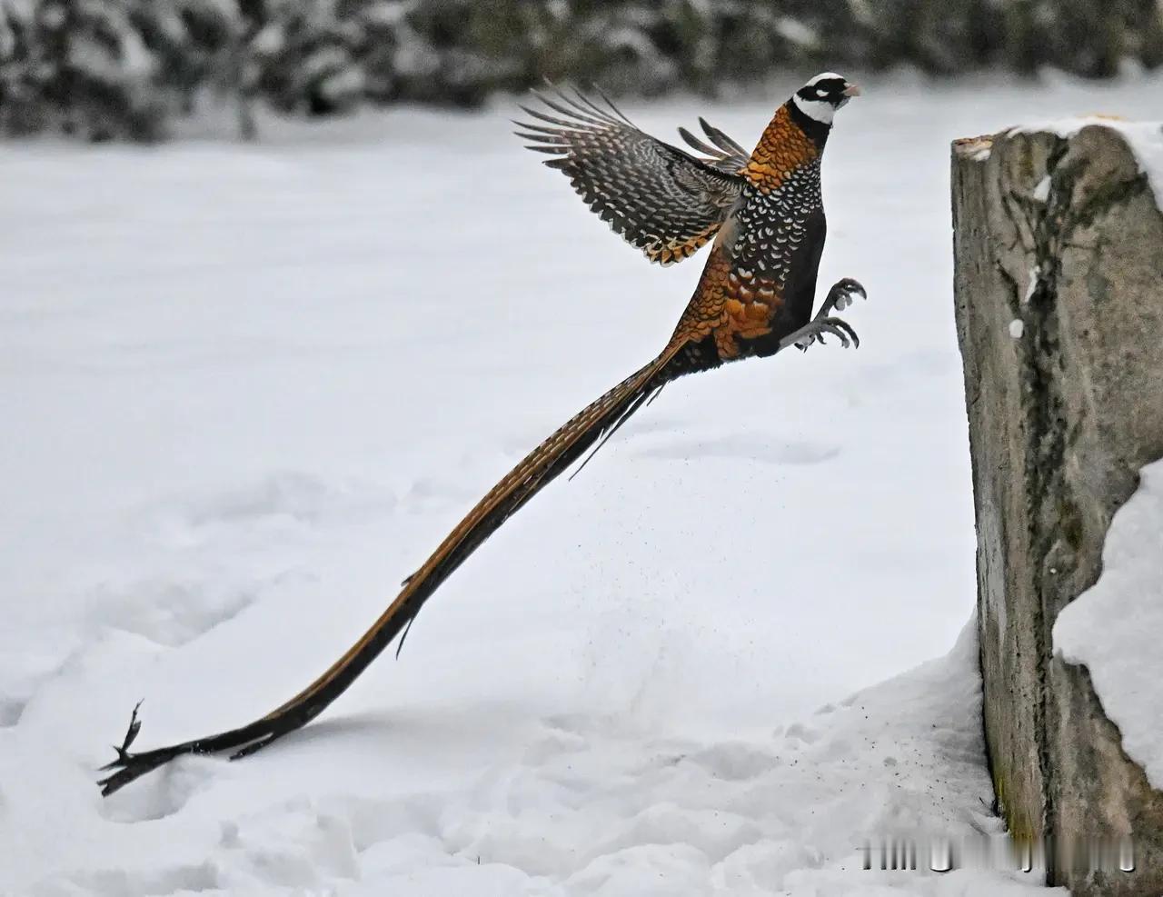 上联：江山不老。诚邀下联？人生苦短。