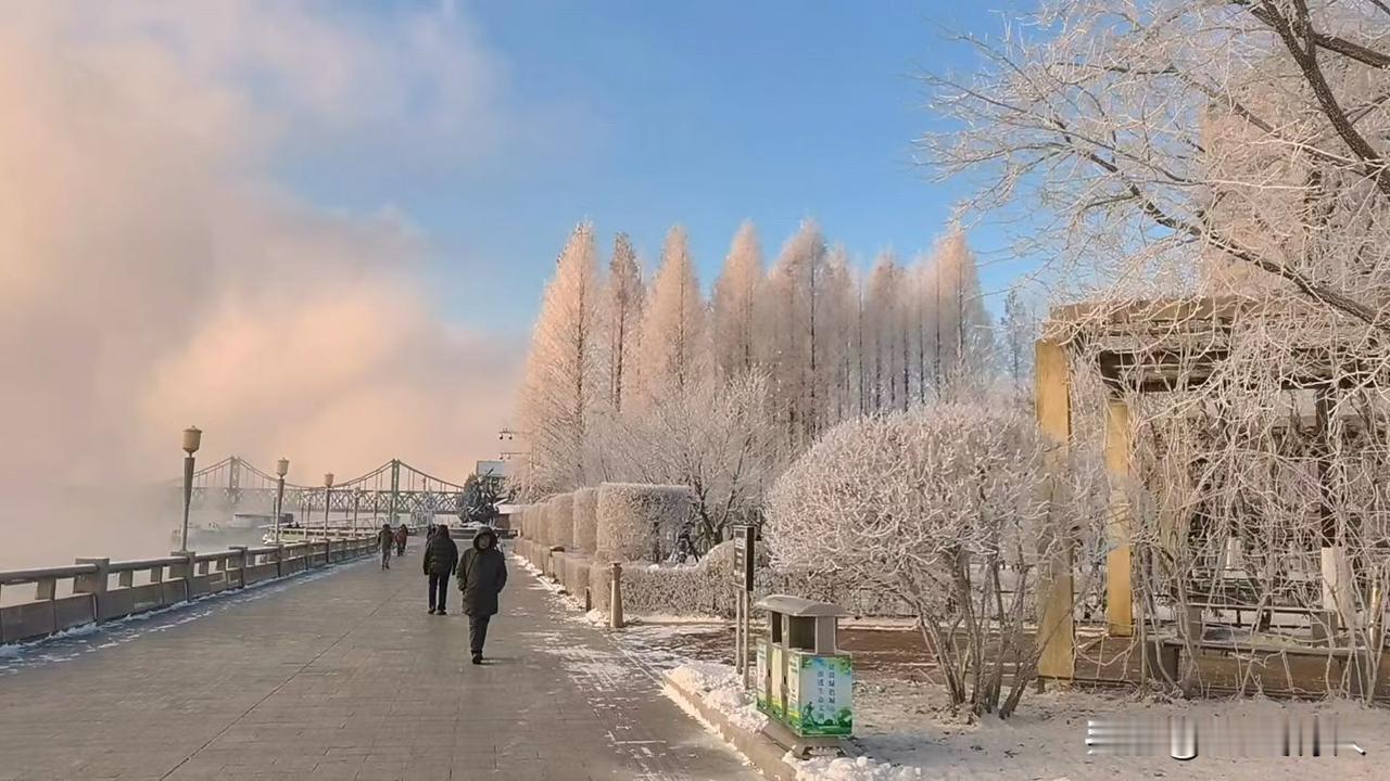 火树银花不夜天。一场大雪后，大自然造就出来无与伦比的美。难道是路边的树也一夜白头