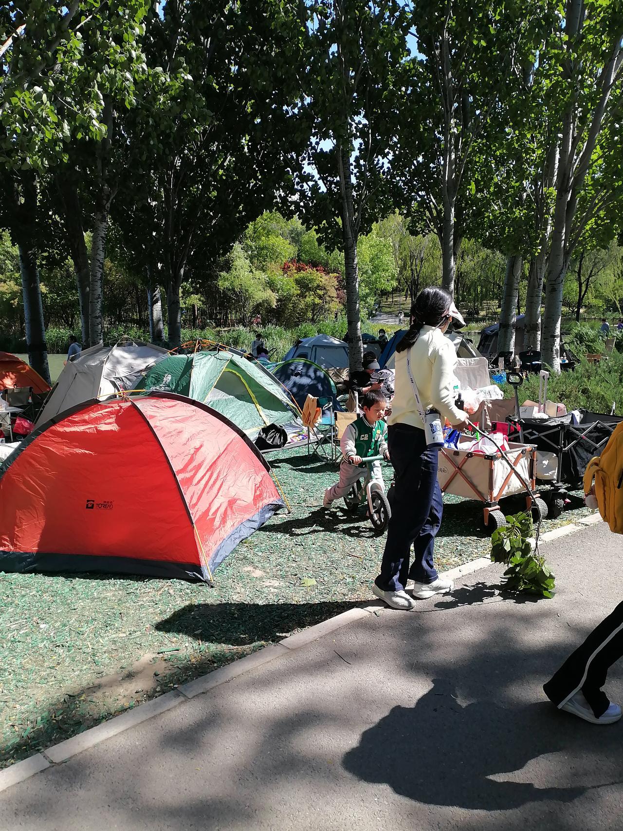北京海淀公园

       北京海淀公园里休闲的人们，惬意的，自由自在，享受假