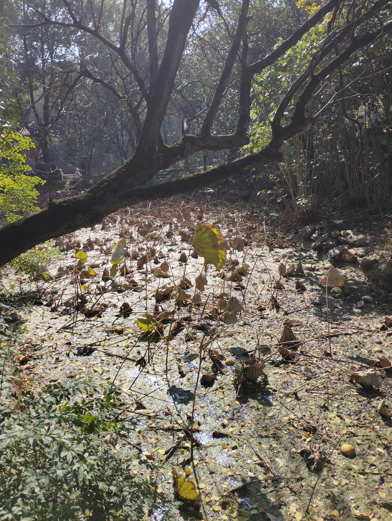 处于人生低谷，要明白哪些道理处于人生低谷时，往往是重新审视自己、沉淀成长的契机。