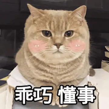 比有的人还懂事，小猫孩子还真有素质[呲牙]