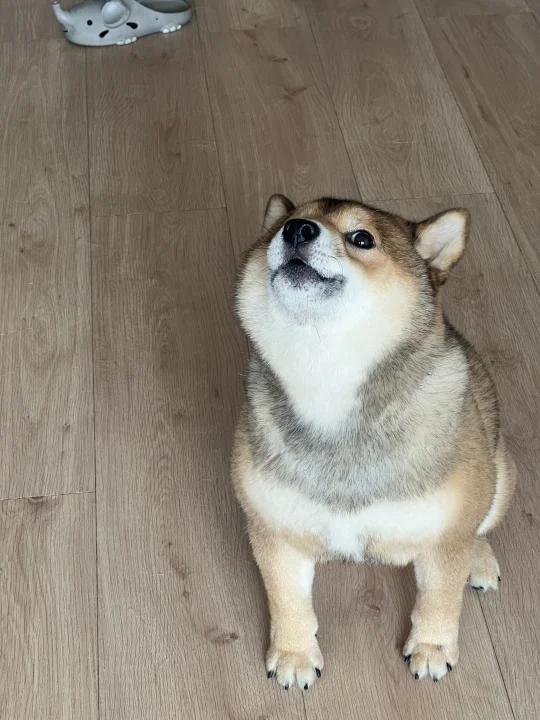 孩子一般不开口，开口就是要告点小状