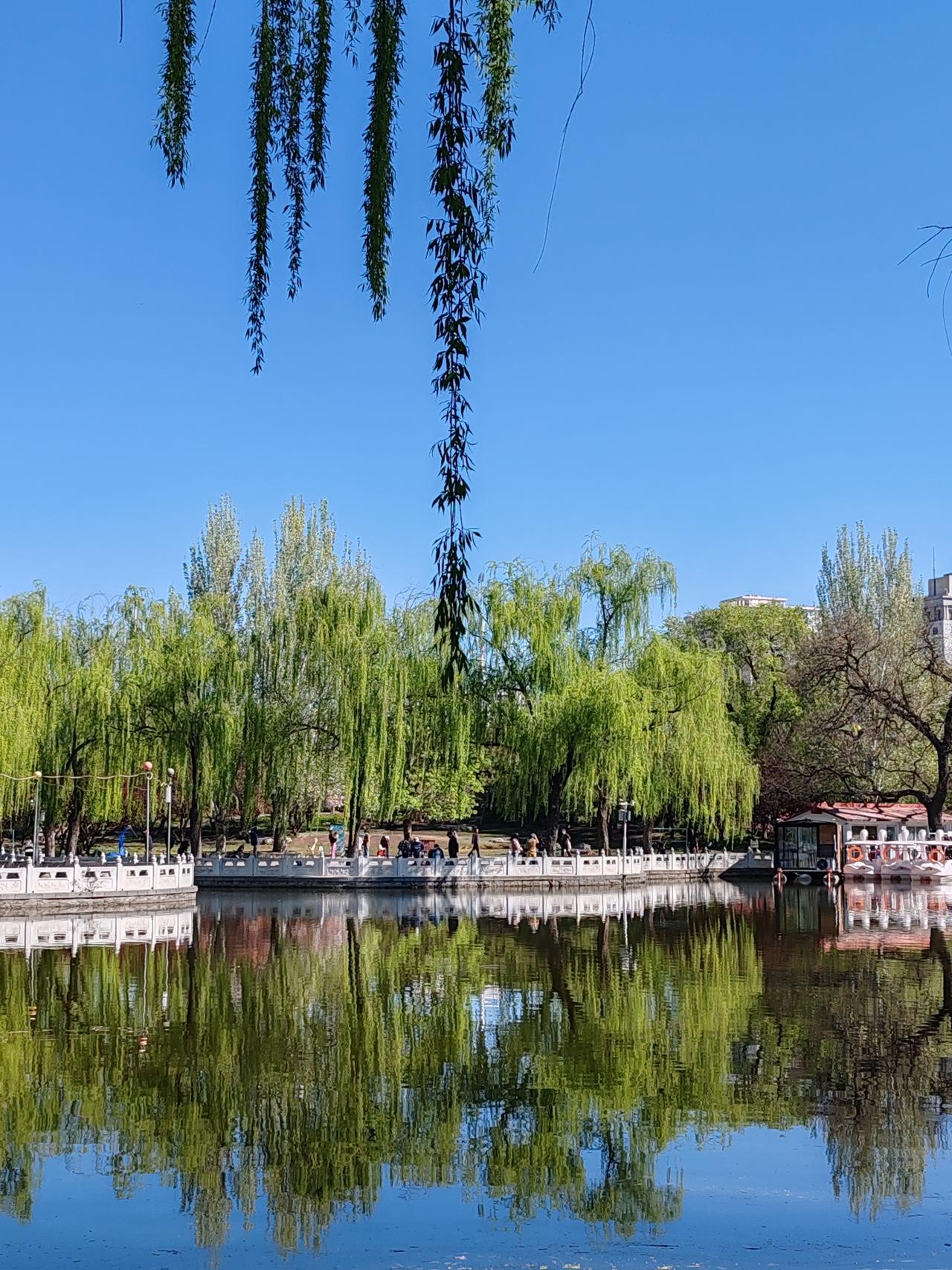 春日生活打卡季春天随手拍。