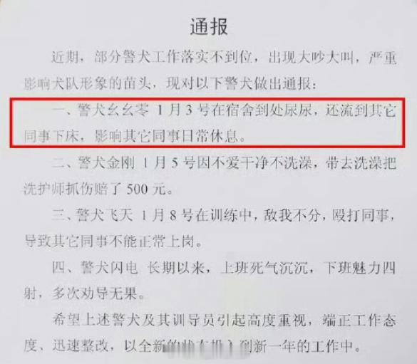 警犬在战友床上尿尿连续4周被通报 笑死了，幺幺零”这只警犬，不仅活泼好动，还时常