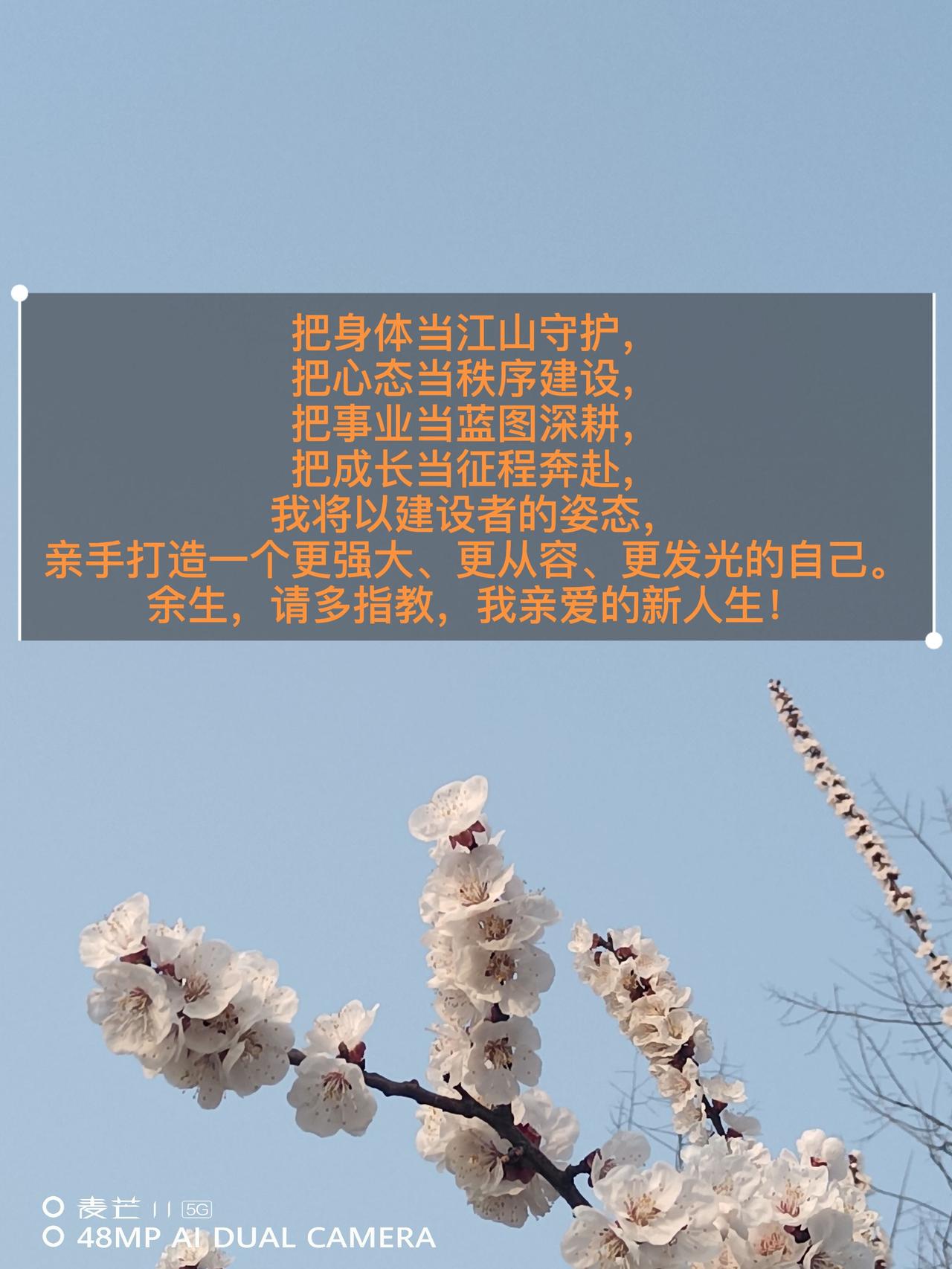 2026-2030五年计划原创摄影作品分享 用镜头捕捉春天 原创视频 用抖音记录