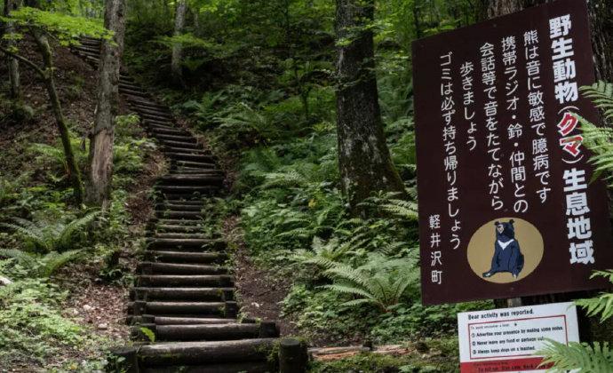日媒报道称，往年日本因熊袭击而死亡的人数基本维持在5人以下。但自2021年起，这
